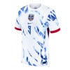 Camiseta de fútbol Noruega Haaland 9 Segunda Equipación 2024 - Hombre